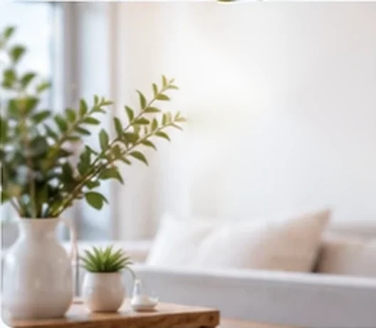 Bright, calm room with a plant